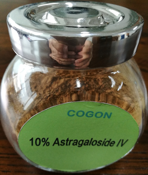 10% Astragaloside IV